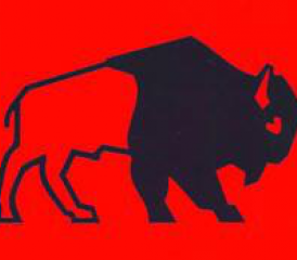 Das Logo des Festungsgeschützes «Bison».
