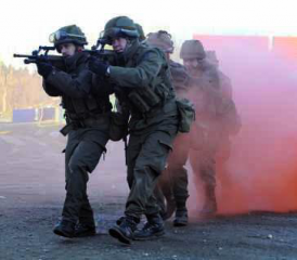 Der Truppenübungsplatz Allentsteig im niederösterreichischen Waldviertel hat eine Fläche von etwa 157 km².