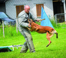 Nitro im Element des Schutzdienstes.