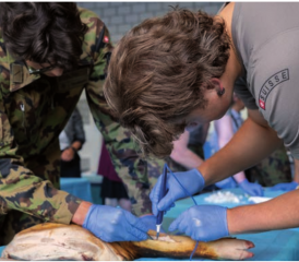 Die Teilnehmer konnten ihr Wissen in diversen Workshops vertiefen. Bild: Elia Mosimann