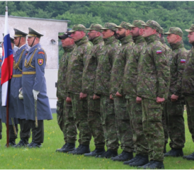 Vereidigung von Angehörigen der freiwilligen Reserve NOS.