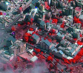 Verbrannte Bäume, nur links der Mitte beim Parkplatz.