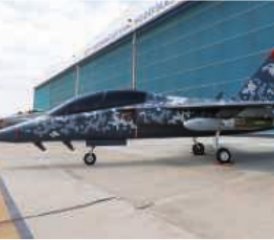 Leichtes Kampfflugzeug Hürjet.