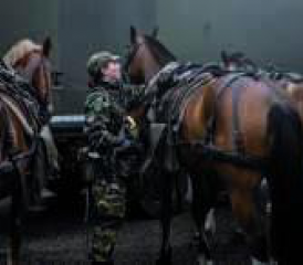 Der Bundesrat will mehr Frauen in der Armee.