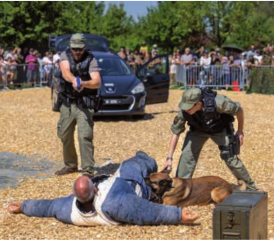 Demonstration einer Verhaftung anlässlich CONNECTED 23.