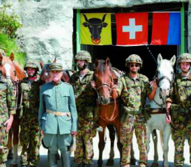 Die Darbietungen des Trains boten auch dieses Jahr viele spannende Einblicke in das Teamwork «Mensch und Pferd».