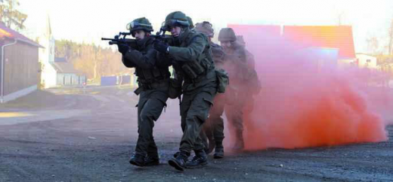 Der Truppenübungsplatz Allentsteig im niederösterreichischen Waldviertel hat eine Fläche von etwa 157 km².