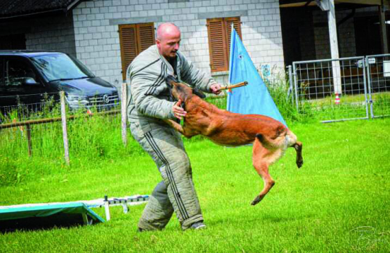 Nitro im Element des Schutzdienstes.