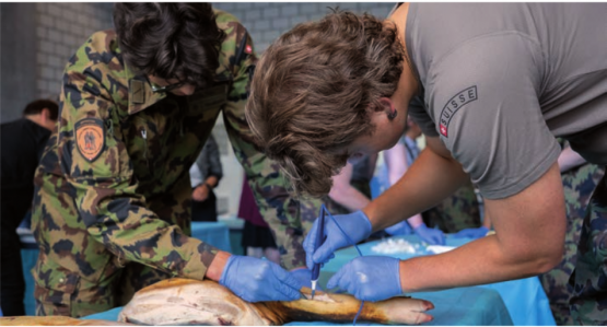 Die Teilnehmer konnten ihr Wissen in diversen Workshops vertiefen. Bild: Elia Mosimann