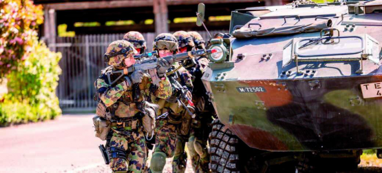 Die Trainingsgelände in der Schweiz reichen nicht aus, um mit grossen Verbänden realitätsnah zu üben.