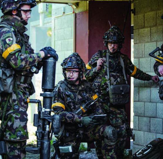 Der diesjährige WK des Inf Bat 56 fand im Raum Walenstadt statt.